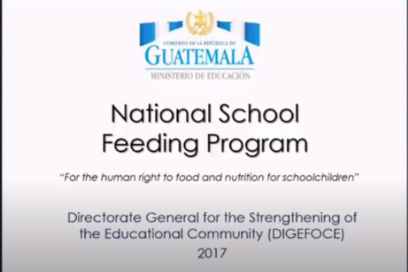 Guatemala National School Feeding Programme